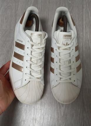 Жіночі кросівки adidas superstar