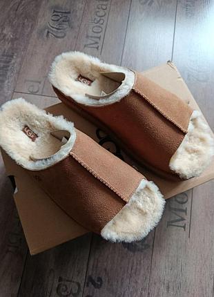 Тёплые меховые тапочки щлеранцы ugg угги оригинал 6
