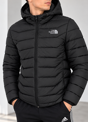 Куртка чоловіча the north face демісезон