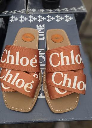 Жіночі шльопанці chloé текстильні помаранчеві