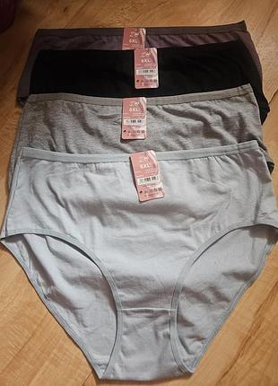 Трусики котонові 6xl батал
