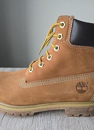 Черевики timberland premium 6 inch primalift 400 gram