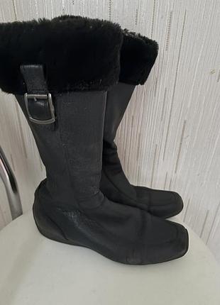 Женские сапоги geox