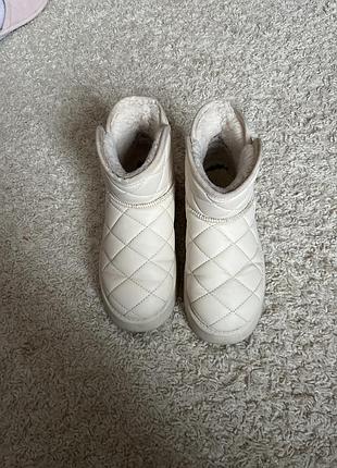 Уггі жіночі ugg низькі бежеві 36 розмір 23 см устілка