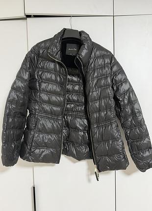 Куртка massimo dutti m/l