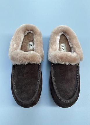 Черевики жіночі ugg мюли