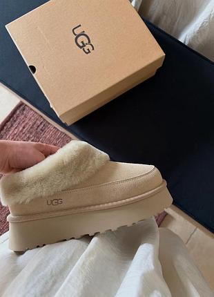Уги ugg tazzlita 6