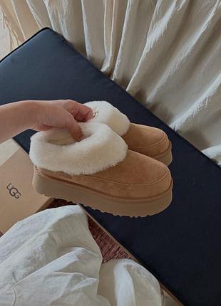 Уги ugg tazzlita 8