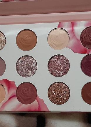 Physicians formula rose all play 2