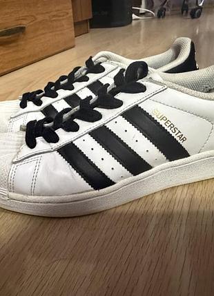 Кеди adidas superstar білі шкіряні