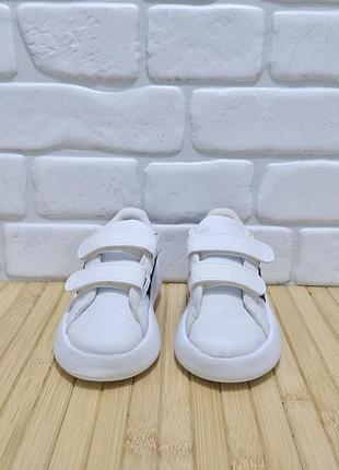 Кросівки adidas 6