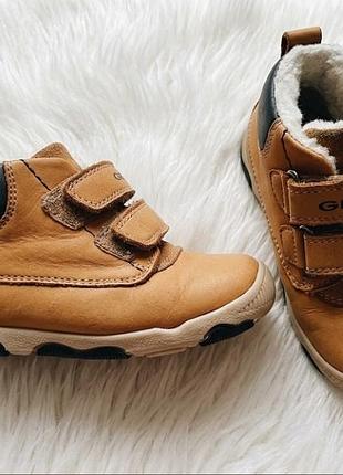 Детские теплые  ботинки geox new balù boy