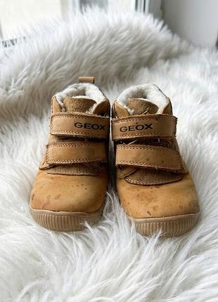 Детские теплые  ботинки geox new balù boy 2