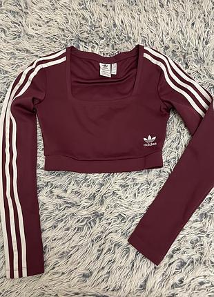 Жіночий кроп-топ adidas бордовий у смужку з довгим рукавом