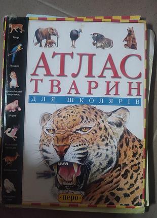 Дуже цікаві книги для дітей 7