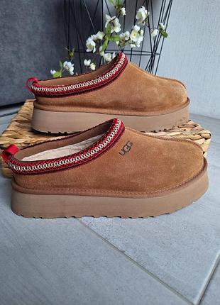Сабо ugg ( оригинал) 43 размер 4