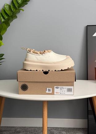 Жіночі зимові черевики ugg tasman hybrid beige 36-41