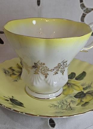 Royal albert «yellow magnolia»