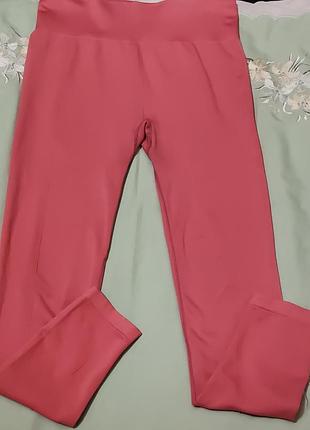 Женские бесшовные, расовые спортовные леггинсы с высокой посадкой от primark.