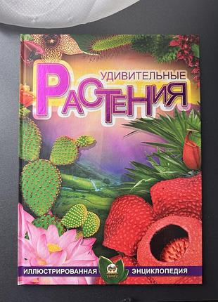 Енциклопедія дивовижні рослини в. в. борзова, тверда палітурка, видавництво талант