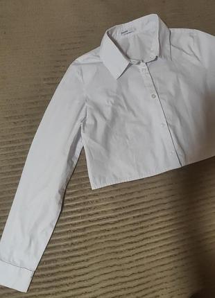 Рубашка белая cropp s укороченная 3