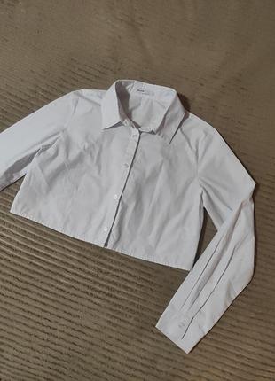 Рубашка белая cropp s укороченная