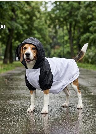 Новий дождевик для собаки