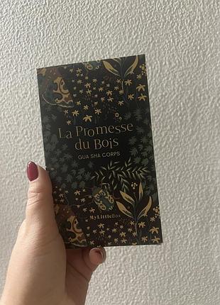Дерев'яний гуаша для тіла (gua sha corps) від французького бренду my little box