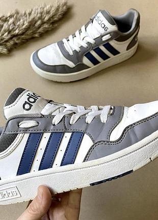 Кросівки жіночі adidas hoops 36,5 розмір устілка 23 см | білі