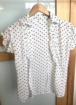 Блуза,блузка с коротким рукавом,в горошек, рубашка в горошек, рубашка с коротким рукавом