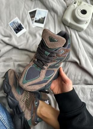 Balance 9060 beef and broccoli 5