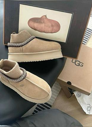 Уггі ugg tazz бежеві замшеві на платформі