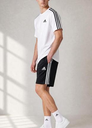 Комплект спортивний літній adidas футболка і шорти s-2xl