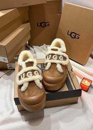 Жіночі ugg зима