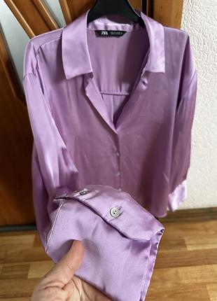 Сорока zara 4