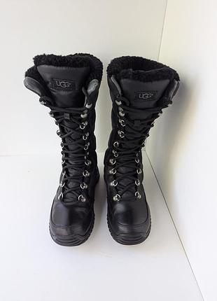 Сапоги ugg australia 2