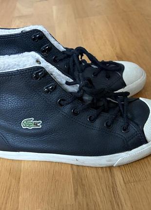 Високі кеди lacoste чорного кольору на шнурівці