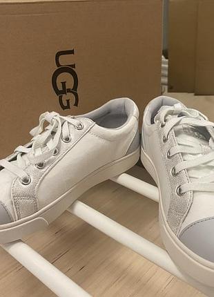 Кеди жіночі ugg білі низькі на шнурівці