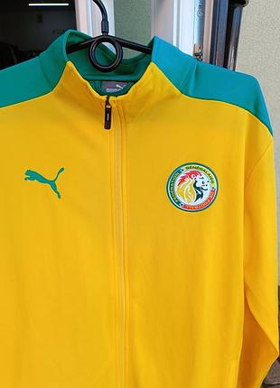 Мужская спортивная кофта puma 3