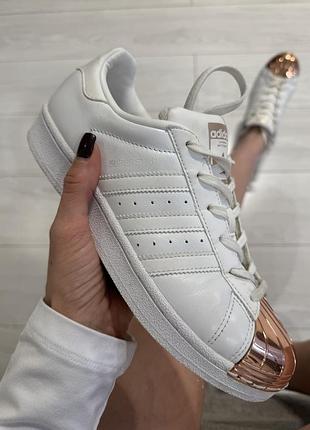 Кросівки adidas superstar