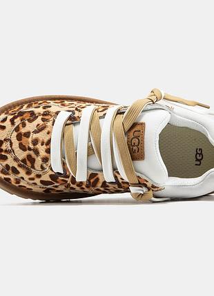 Кросівки ugg lowmel принт 4