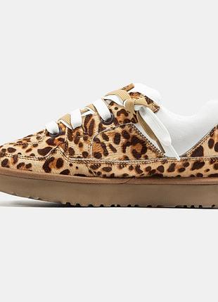 Кросівки ugg lowmel принт 7