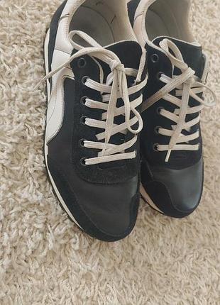 Шкіряні кросівки shoe the bear