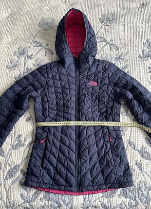 Жіночий мікропуховик the north face синій з рожевим