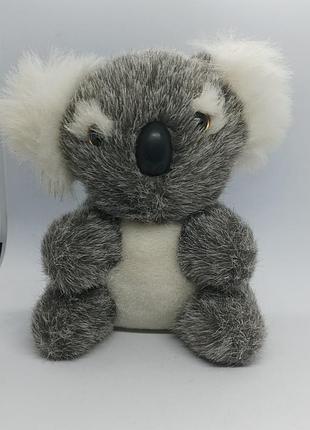 Коала australia