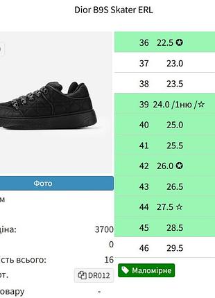 Dior b9s skater erl