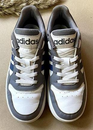 Кроссовки для мальчика adidas hoops 36,5 размер стелька 23 см | белые