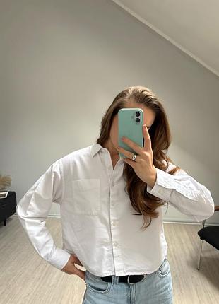 Бавовняна сорочкам uniqlo x jw anderson