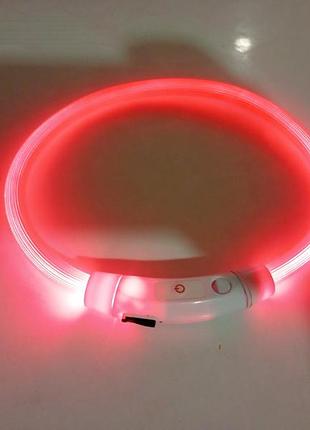 Світлодіодний нашийник для собак trixie flash light ring usb 2
