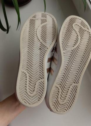 Кросівки adidas superstar 6